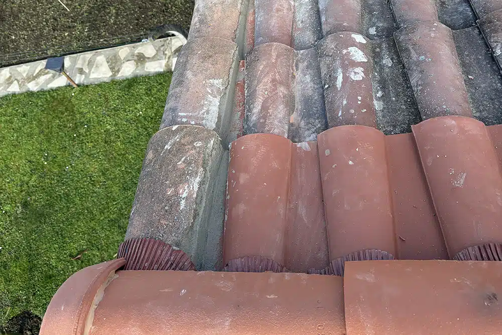 atout couverture réalisation démoussage muret 4